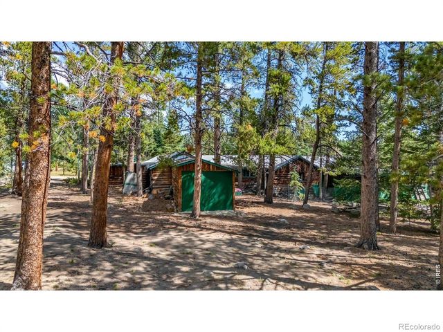 650 W Pine Street, Nederland, CO 80466