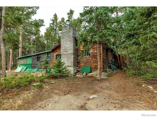 650 W Pine Street, Nederland, CO 80466