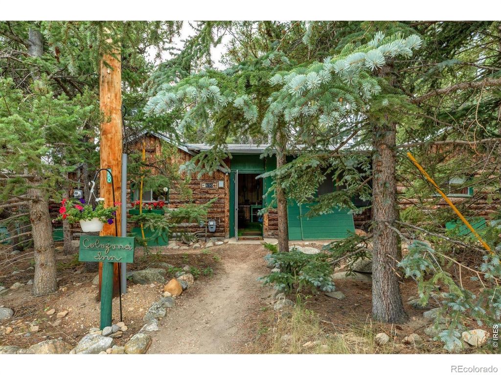 650 W Pine Street, Nederland, CO 80466