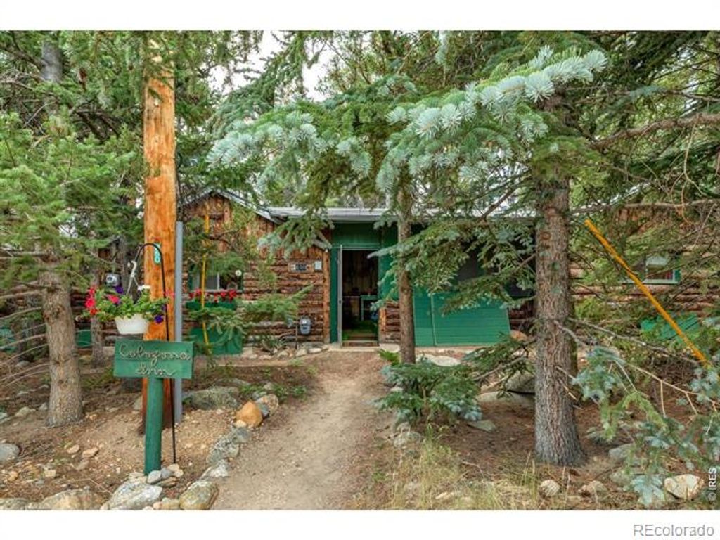 650 W Pine Street, Nederland, CO 80466