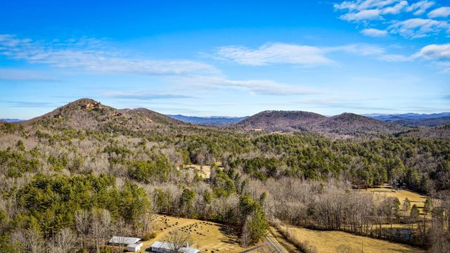 155 Peppermint Lane, Epworth, GA 30541