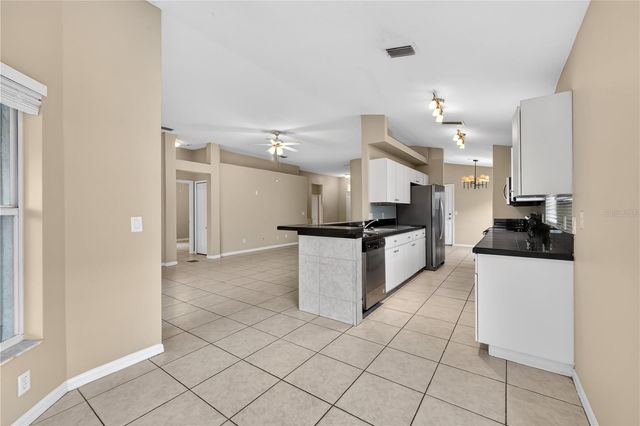 1461 LAKE SHORE RANCH DRIVE, Seffner, FL 33584