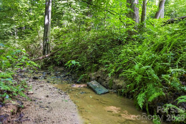 316 Big Raven Lane, Saluda, NC 28773