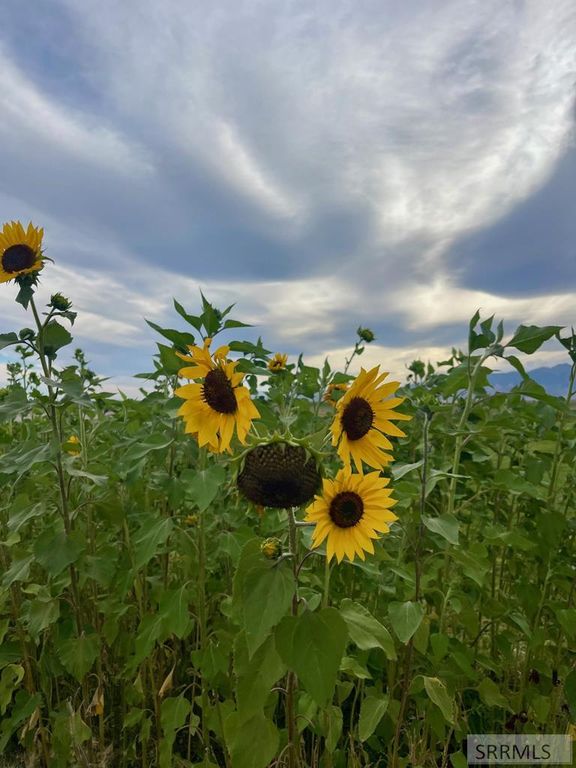 Image 10 of property listing at 2398 N 400 E, Monteview, ID 83435