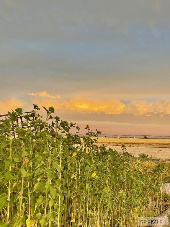 Image 31 of property listing at 2398 N 400 E, Monteview, ID 83435