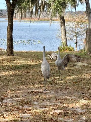 114 LITTLE ORANGE LAKE DRIVE, Hawthorne, FL 32640