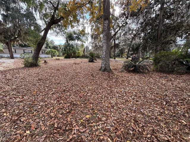 114 LITTLE ORANGE LAKE DRIVE, Hawthorne, FL 32640