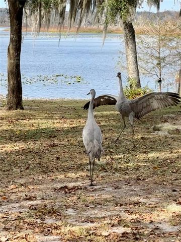 114 LITTLE ORANGE LAKE DRIVE, Hawthorne, FL 32640