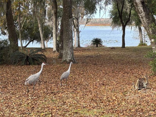 114 LITTLE ORANGE LAKE DRIVE, Hawthorne, FL 32640