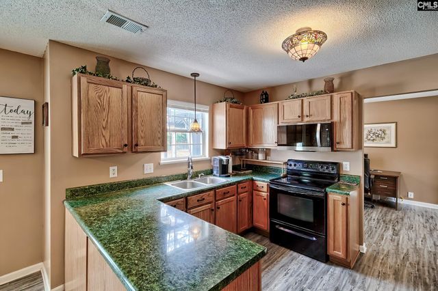 133 Dutch Court, Lexington, SC 29073