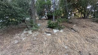 0 Mid, Twin Peaks, CA 92391