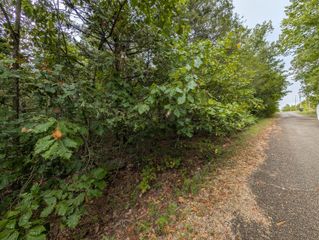 000 North Lot 359 Millstone Street, Shell Knob, MO 65747