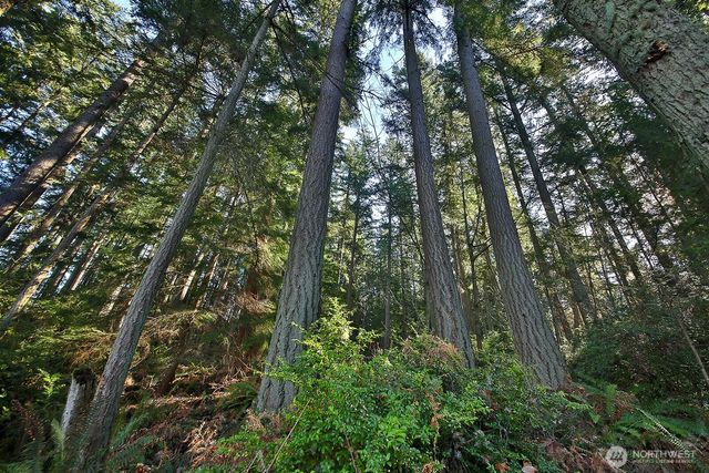 6880 Holst Road, Clinton, WA 98236