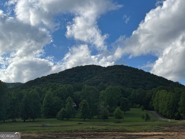 1095 Mountain Shadows Drive, Cleveland, GA 30528