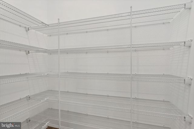 815 WARBLER WAY, Chester, MD 21619