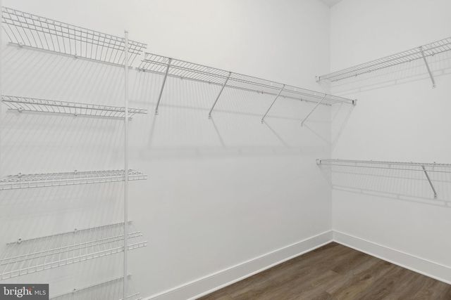 815 WARBLER WAY, Chester, MD 21619