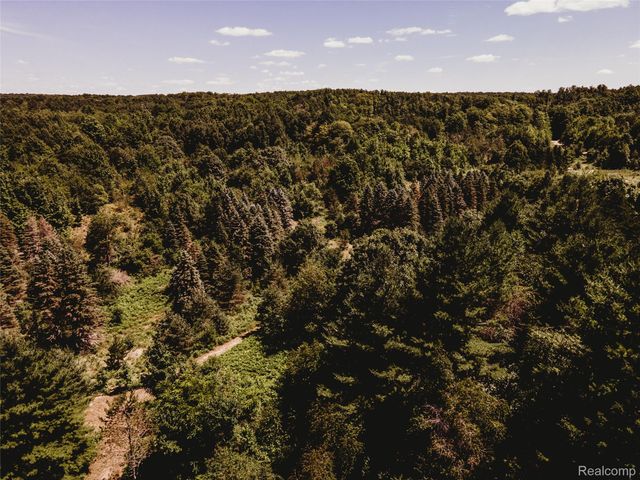 3550 Scholl Road, Mancelona Township, MI 49659