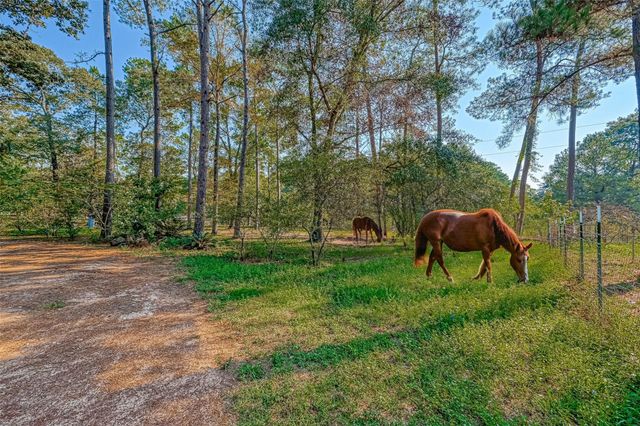 648 Oak Ridge Street, Cleveland, TX 77328