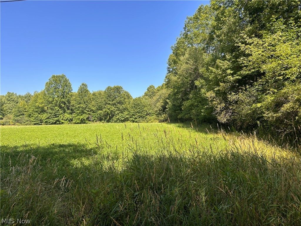Wilson Lane, Lowellville, OH 44436