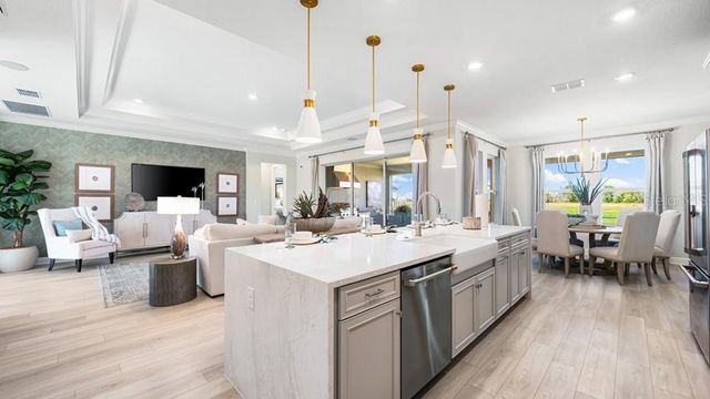 16286 ALPHA GROVE PLACE, Odessa, FL 33556