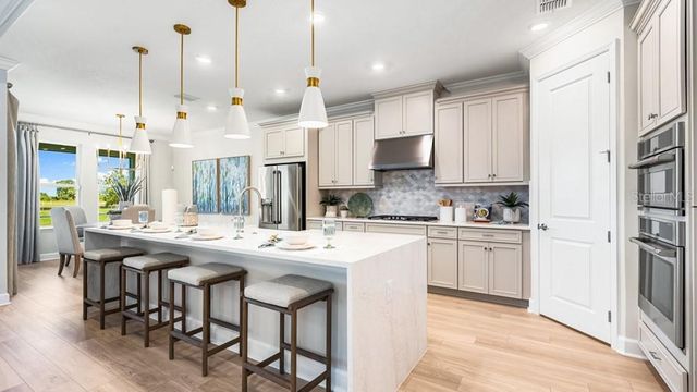 16286 ALPHA GROVE PLACE, Odessa, FL 33556