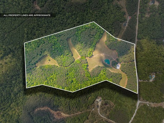 635 Seven Mile Ridge Rd, Indian Mound, TN 37079