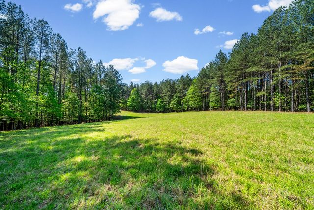 635 Seven Mile Ridge Rd, Indian Mound, TN 37079