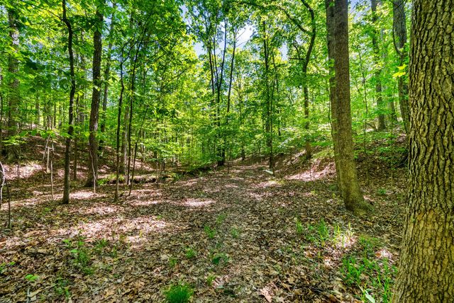 635 Seven Mile Ridge Rd, Indian Mound, TN 37079