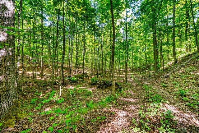 635 Seven Mile Ridge Rd, Indian Mound, TN 37079