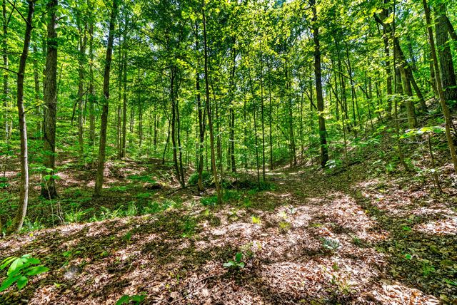 635 Seven Mile Ridge Rd, Indian Mound, TN 37079