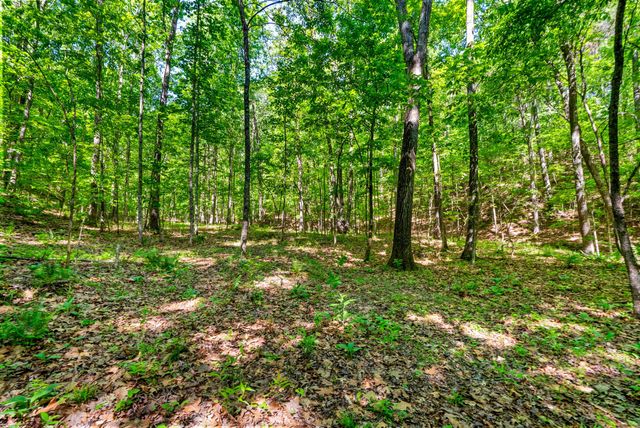 635 Seven Mile Ridge Rd, Indian Mound, TN 37079