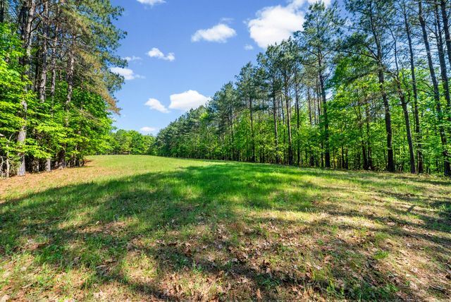 635 Seven Mile Ridge Rd, Indian Mound, TN 37079