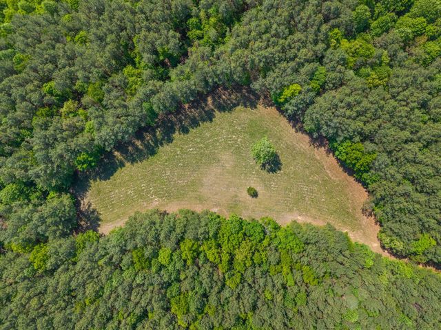 635 Seven Mile Ridge Rd, Indian Mound, TN 37079