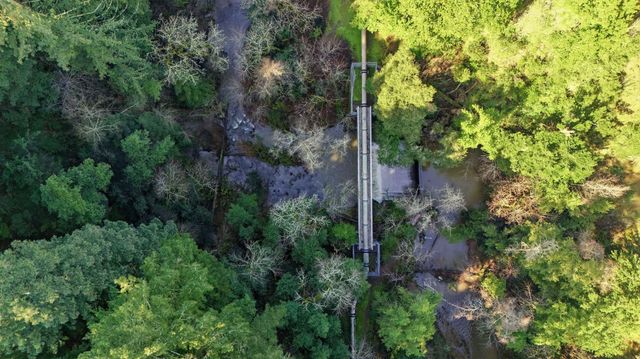 17741 Comanche Trl, Los Gatos, CA 95033