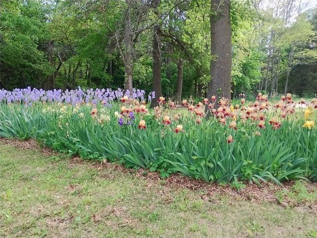 75 NW 1501 Road, Holden, MO 64040