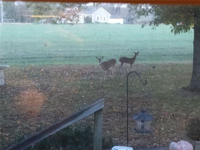 75 NW 1501 Road, Holden, MO 64040