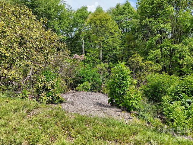 00 Leatherwood Road, Maggie Valley, NC 28751