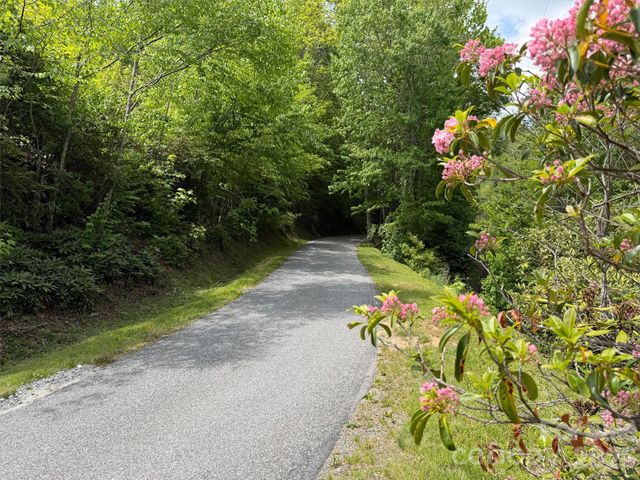 00 Leatherwood Road, Maggie Valley, NC 28751