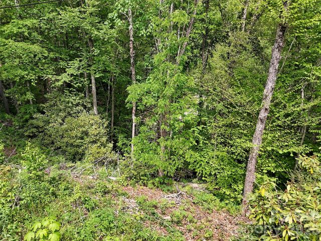 00 Leatherwood Road, Maggie Valley, NC 28751