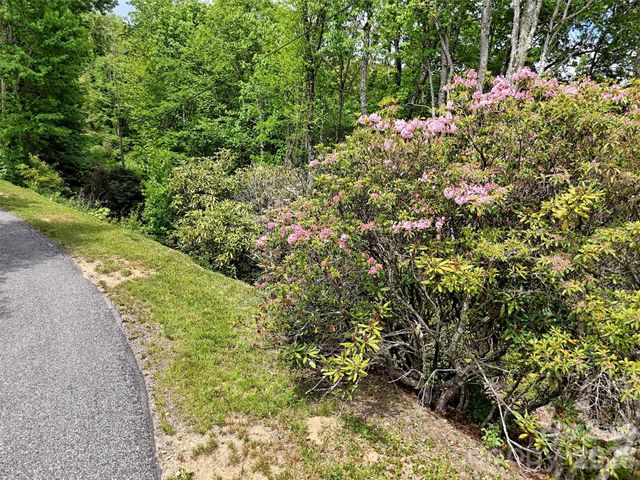 00 Leatherwood Road, Maggie Valley, NC 28751
