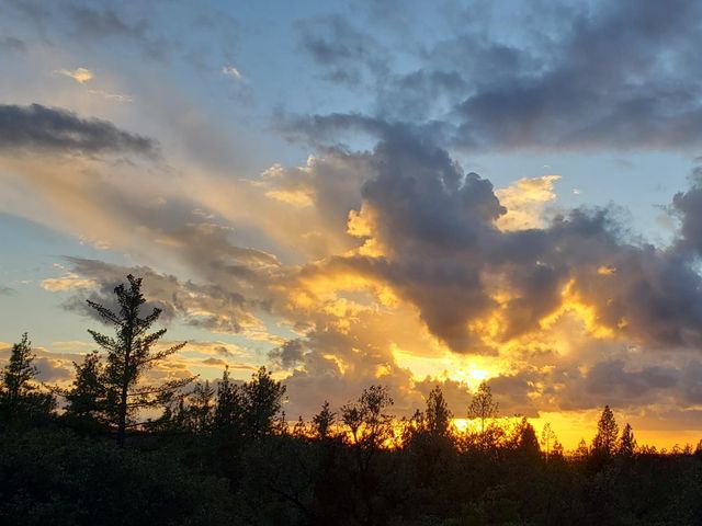 18299 W Clinton Road, Jackson, CA 95642