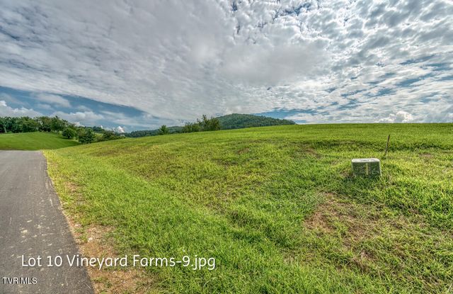 Lot 10 Dry Hill Road, Butler, TN 37640