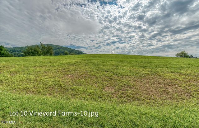 Lot 10 Dry Hill Road, Butler, TN 37640