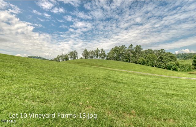 Lot 10 Dry Hill Road, Butler, TN 37640