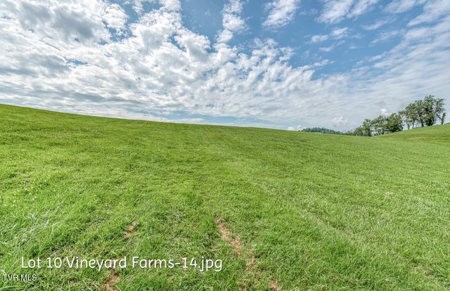Lot 10 Dry Hill Road, Butler, TN 37640