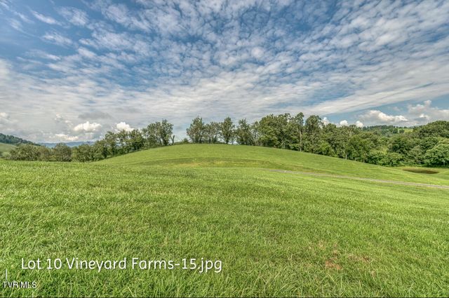 Lot 10 Dry Hill Road, Butler, TN 37640