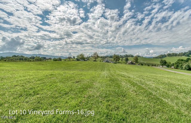 Lot 10 Dry Hill Road, Butler, TN 37640