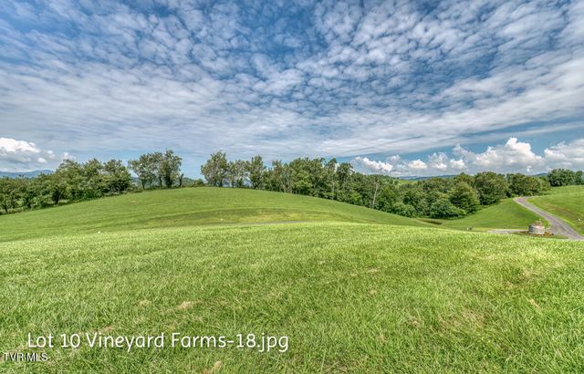 Lot 10 Dry Hill Road, Butler, TN 37640