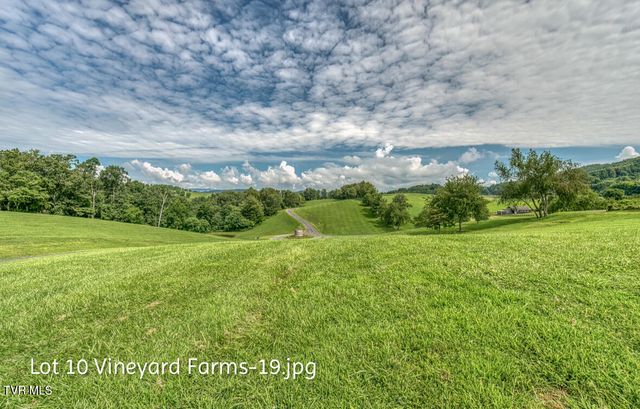 Lot 10 Dry Hill Road, Butler, TN 37640