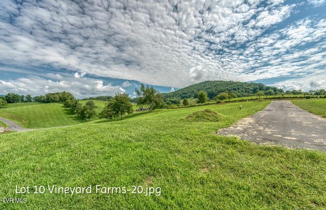 Lot 10 Dry Hill Road, Butler, TN 37640